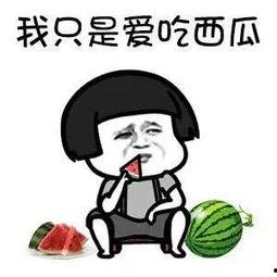 娱乐吃瓜酱考研,考研之路不再孤单